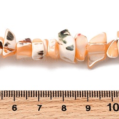 Natural Trochid Shell/Trochus Shell Beads Strands&nbsp;SHEL-B003-02B