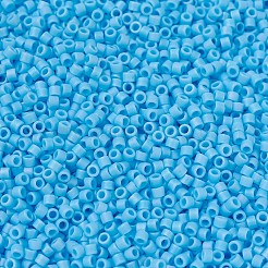 MIYUKI Delica Beads Small&nbsp;X-SEED-J020-DBS0879