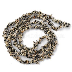 Natural Dalmatian Jasper Beads Strands&nbsp;X-G-G0003-B29