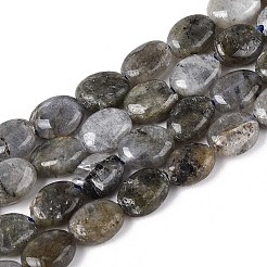 Natural Labradorite Beads Strands&nbsp;G-T142-19