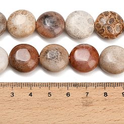 Natural Fossil Coral Beads Strands&nbsp;GG-CBA362F-02