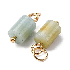 Natural Flower Amazonite Column Charms with 304 Stainless Steel Jump Rings&nbsp;G-Q032-01G