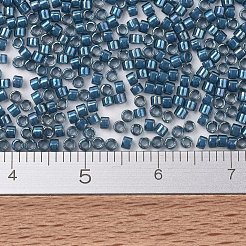 MIYUKI Delica Beads&nbsp;X-SEED-J020-DB2384