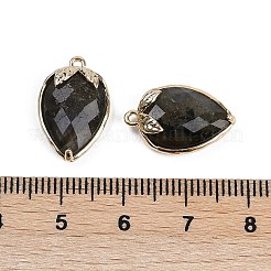 Natural Labradorite Faceted Pendants&nbsp;G-M431-06G-12