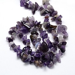 Natural Amethyst Beads Strands&nbsp;X-G-O049-C-48