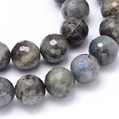Natural Labradorite Round Bead Strands&nbsp;G-O094-06-16mm