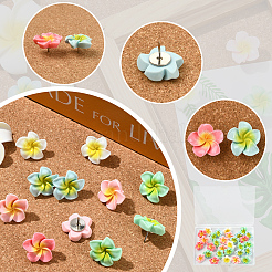 30Pcs Plumeria Resin Cabochon Map Pins&nbsp;AJEW-SC0031-18