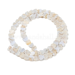 Natural Blue Lace Agate Beads Strands&nbsp;G-NH0001-B02-01