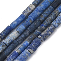 Natural Lapis Lazuli Beads Strands&nbsp;G-L650-L01-01