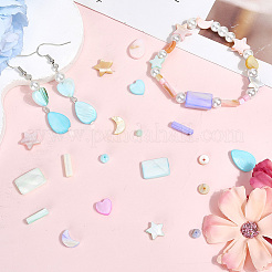 120Pcs Macaron Color Natural Shell Beads&nbsp;SHEL-SC0001-71