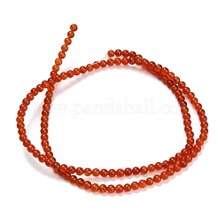 Natural Carnelian Beads Strands&nbsp;G-Z116-A22-3mm
