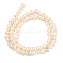 Natural Cultured Freshwater Pearl Beads Strands&nbsp;PEAR-L034-05