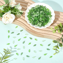 900Pcs 3 Colors Transparent Acrylic Charms&nbsp;TACR-PA0001-27