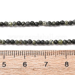Natural Serpentine/Green Lace Stone Beads Strands&nbsp;G-Z116-A16-2mm