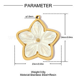 304 Stainless Steel with Resin Pendants&nbsp;RE-OY001-05G