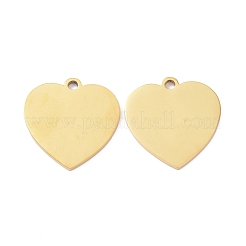 Ion Plating(IP) 304 Stainless Steel Pendants&nbsp;STAS-P291-07G
