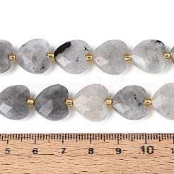 Natural Labradorite Beads Strands&nbsp;LS-G-P592-B14-01