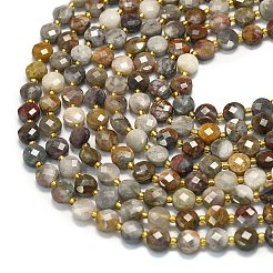 Natural Gobi Agate Beads Strands&nbsp;G-K389-B72-01