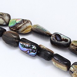 Natural Paua Shell Beads Strands&nbsp;SSHEL-J047-03