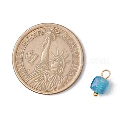 21Pcs Glass Charms&nbsp;PALLOY-JF03218