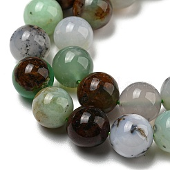 Natural Serpentine Beads Strands&nbsp;G-R494-A03-04