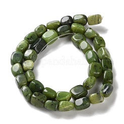 Natural Canadian Jade Beads Strands&nbsp;G-P497-01D-01