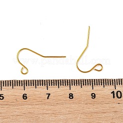 Iron Earring Hooks&nbsp;RN-CBA973B-10B-G