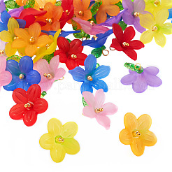 48Pcs 12 Styles Frosted Acrylic Pendants&nbsp;PALLOY-TA0002-52