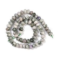 Natural Peace Jade Beads Strands&nbsp;G-B125-J01-01