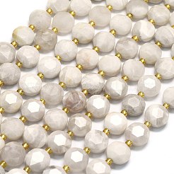Natural Crazy Agate Beads Strands&nbsp;G-C116-A151-01