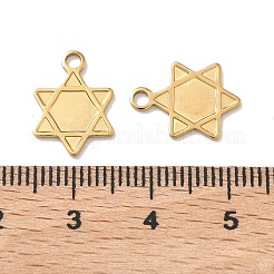 304 Stainless Steel Charms&nbsp;STAS-Z184-15G