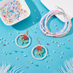 1800Pcs 6 Colors Ceylon Glass Seed Beads&nbsp;FIND-PH0028-20