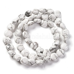 Natural Howlite Beads Strands&nbsp;G-T047-A03-01