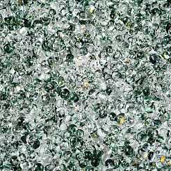 Spray Painted with Glitter Powder Glass Seed Beads&nbsp;SEED-T007-09C
