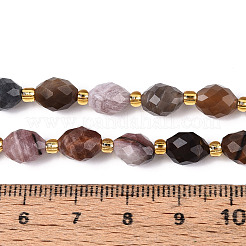 Natural Petrified Wood Beads Strands&nbsp;G-N342-53-8x6-07