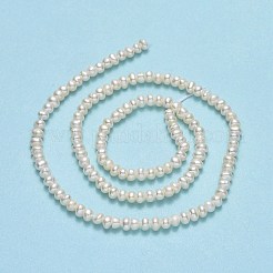 Natural Cultured Freshwater Pearl Beads Strands&nbsp;PEAR-A005-21B-01