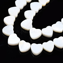 Natural Freshwater Shell Beads Strands&nbsp;SHEL-N026-152