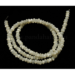 Natural White Shell Beads Strands&nbsp;X-SSHEL-L034-1