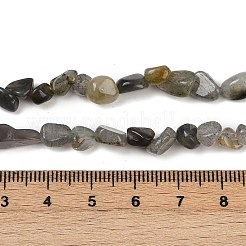 Natural Labradorite Beads Strands&nbsp;G-Q060-D02