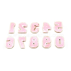 10Pcs 10 Style Computerized Embroidery Cloth Iron on/Sew on Patches&nbsp;DIY-WH0265-89
