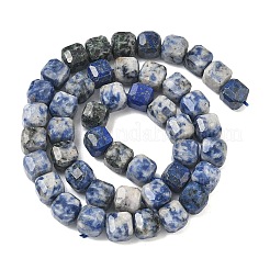 Natural Blue Spot Jasper Beads Strands&nbsp;G-C267-A20