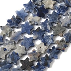 Natural Sodalite Beads Strands&nbsp;G-F817-A08-01