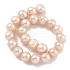 Natural Cultured Freshwater Pearl Beads Strands&nbsp;PEAR-C003-19E