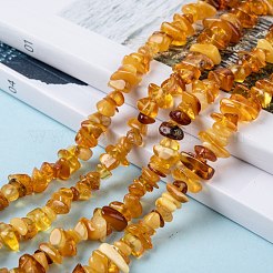 Natural Amber Chip Beads Strands&nbsp;X-G-E271-81