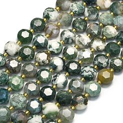 Natural Tree Agate Beads Strands&nbsp;G-C116-A150-01
