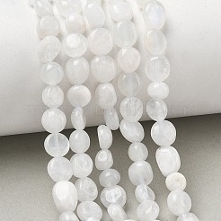 Natural Rainbow Moonstone Beads Strands&nbsp;X-G-Q961-27