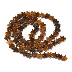Natural Tiger Eye Beads Strands&nbsp;G-F817-A06-01