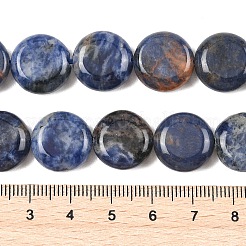 Natural Sodalite Beads Strands&nbsp;G-L648-B07-15mm