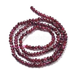 Natural Garnet Beads Strands&nbsp;G-H079-A01-02B