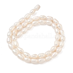Natural Cultured Freshwater Pearl Beads Strands&nbsp;PEAR-D003-01D-14
